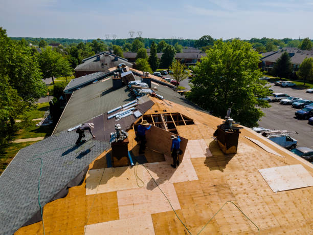 Best Flat Roof Repair Services  in Hibbing, MN