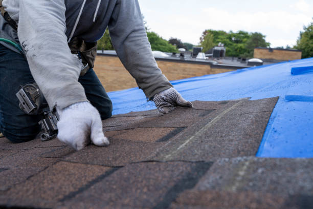 Best Storm Damage Roof Repair  in Hibbing, MN