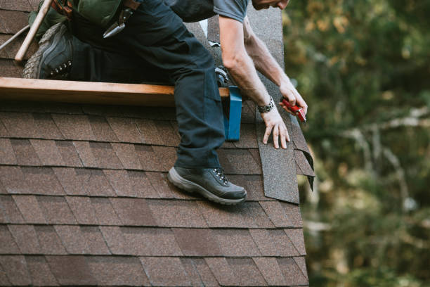 Best Metal Roofing Contractor  in Hibbing, MN